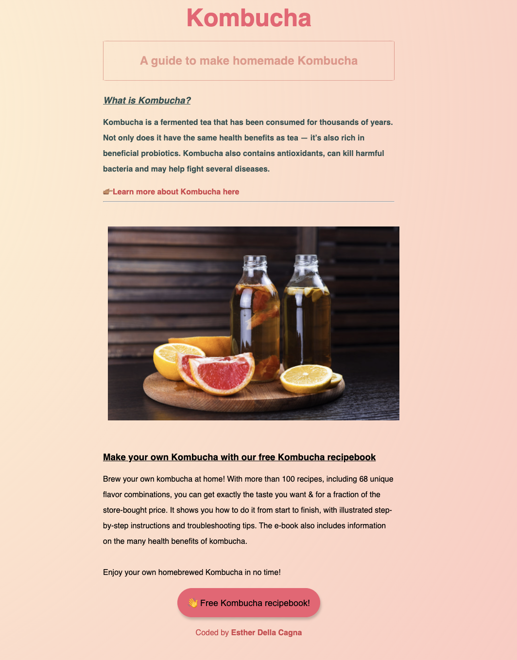 photo of kombucha landing page